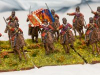 Empress Minis  (2 of 13)